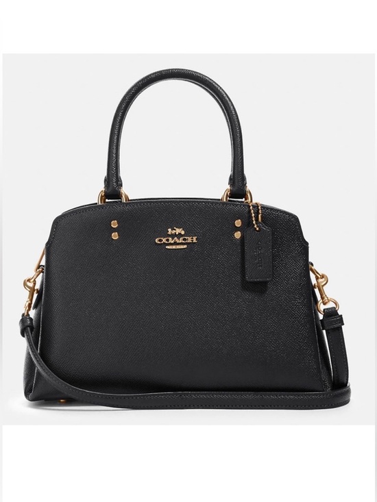 Coach Handbags - Coach Mini Carryall Bag